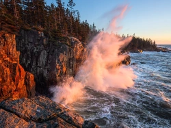 Maine, Morze, Drzewa, Park Narodowy Acadia, Skały, Stany Zjednoczone