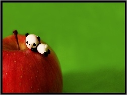 Jabłko, Mała, Panda