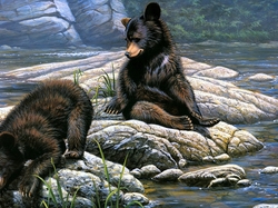 Paco Young, Niedźwiedzie czarne, Obraz, Rzeka, Skały, Dwa, Malarstwo