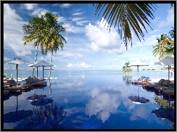 Malediwy, Parasole, Morze, Palmy