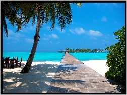 Malediwy, Plaża, Morze, Palmy