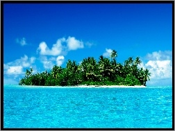 Malediwy, Wyspa, Morze, Palmy