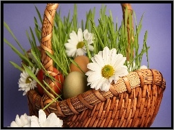 Margerytki, Koszyk, Wielkanoc, Jajka