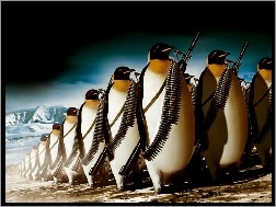 Pingwiny, Maszerujące, Uzbrojone
