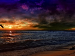 Mewa Zachód słońca, Morze, Chmury