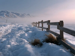 Rośliny, Zima, Góry, Mgła, Ogrodzenie, Grafika AI