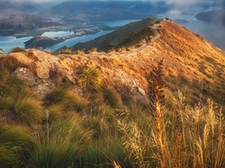 Mgła, Nowa Zelandia, Roys Peak, Jezioro Wanaka, Gory, Roślinność