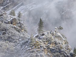 Mgła, Skały, Góry, Park Narodowy Yosemite, Kalifornia, Stany Zjednoczone, Drzewa