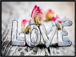 Miłość, Love, Napis, Kwiatek