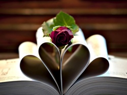 Miłosne, Róża, Kartki, Książka, Walentynki