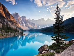 Prowincja Alberta, Drzewa, Góry, Park Narodowy Banff, Kanada, Jezioro Moraine