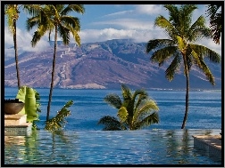 Morze, Maui, Hawaje, Basen, Góry, Palmy