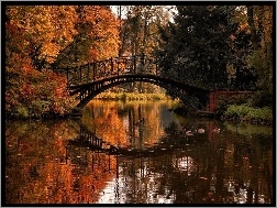 Most, Rzeka, Jesień, Kaczki