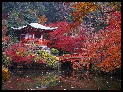 Mostek, Park, Kyoto, Woda