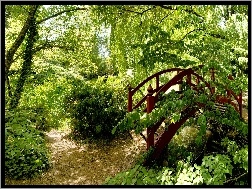 Mostek, Drzewa, Park, Krzewy