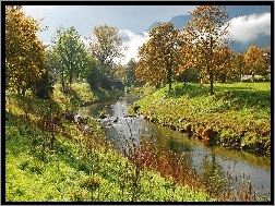 Mostek, Drzewa, Rzeka, Trawa