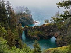 Mosty skalne, Punkt widokowy, Mgła, Drzewa, Brookings, Oregon, Stany Zjednoczone, Morze, Skały, Natural Bridges Viewpoint