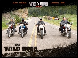 motocykliści, Wild Hogs, ulica