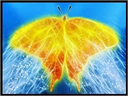 Motyl, 3D