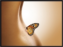 Kobiety, Motyl, Ciało