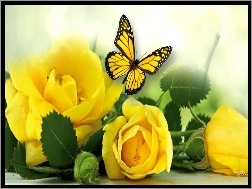 Motyl, Żółte, Róże, Liście