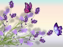 Motyle, Lawenda, Kwiaty, Dzwonki