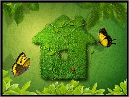 Motyle, Domek, Zielony, Trawa
