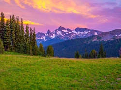 Kolorowe, Niebo, Stan Waszyngton, Góry, Śnieg, Park Narodowy Mount Rainier, Stany Zjednoczone, Trawa, Drzewa