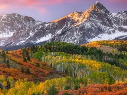 Mount Sneffels, Góry, Jesień, Stany Zjednoczone, Roślinność, Drzewa, Kolorado, Góra
