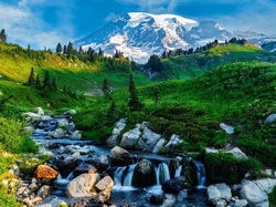 Kamienie, Drzewa, Góra, Park Narodowy Mount Rainier, Dolina, Mount Rainier, Stany Zjednoczone, Potok, Łąka