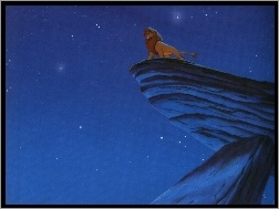 skała, Mufasa, noc