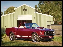 Mustang 351
