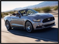 Ford Mustang, Convertible