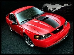 Ford Mustang, Grafika