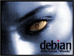 rzęsy, muszla, oko, zawijas, ślimak, grafika, Linux Debian