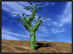 Na pustkowiu, Wielki, Kaktus