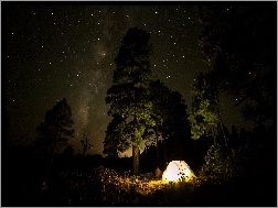Namiot, Drzewa, Noc, Gwiazdy