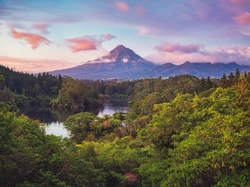 Mount Taranaki, Park Narodowy Egmont, Lasy, Nowa Zelandia, Rzeka, Drzewa, Wyspa Północna, Góra