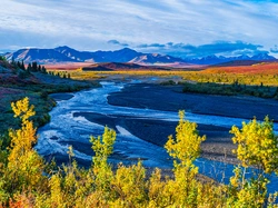 Alaska, Rzeka, Stany Zjednoczone, Góry, Drzewa, Jesień, Park Narodowy Denali, Savage River, Roślinność, Niebo