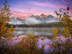 Jesień, Drzewa, Park Narodowy Banff, Canadian Rockies, Jezioro, Góry, Kanada, Mgła, Herbert Lake