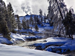 Stan Wyoming, Zima, Drzewa, Park Narodowy Yellowstone, Stany Zjednoczone, Rzeka Firehole River