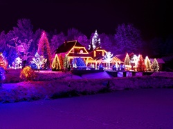 Narodzenie, Drzewa, Oświetlenie, Zima, Boże, Dom