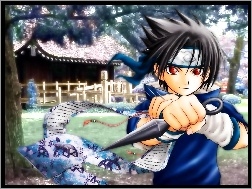 postać, Sasuke, szpikulec