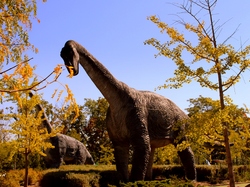 Niagara Falls, Dinozaurów, Park, Drzewa