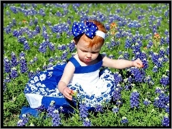 Niebieska, Kwiaty, Dziewczynka, Mała, Sukienka