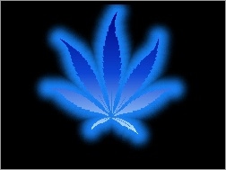Marihuany, Niebieski, Liść