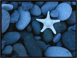 Rozgwiazda, Niebieskie, Kamienie