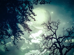 Niebo, Księżyc, Drzewa, Chmury