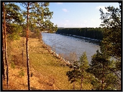Niebo, Las, Rzeka, Drzewa
