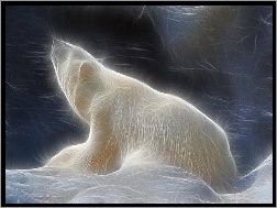 3D, Niedźwiedź, Polarny